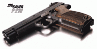 Sig P-210