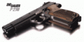 Sig P-210